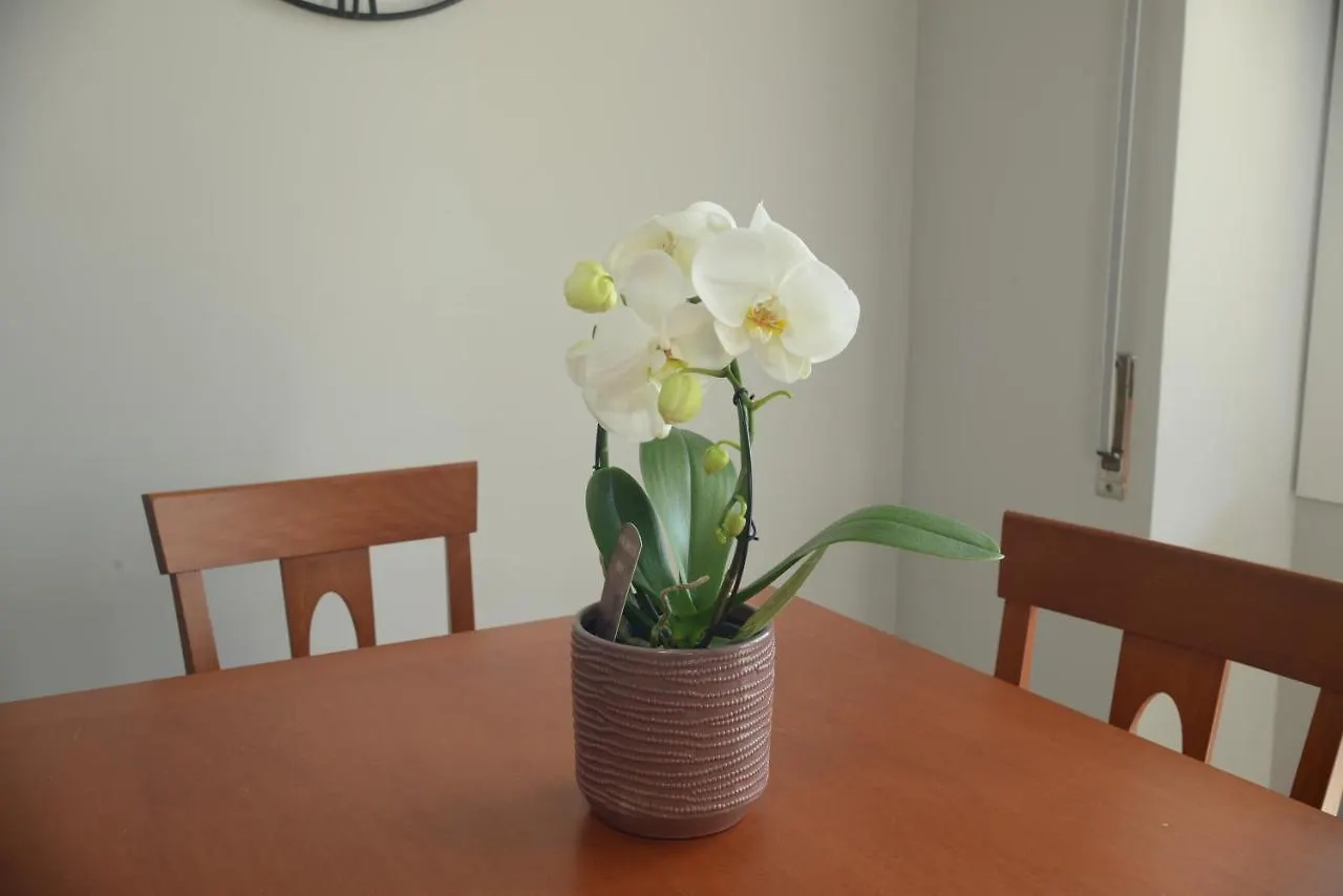 Apartment Regis Home Citra 00855Ltn1108 Sanremo